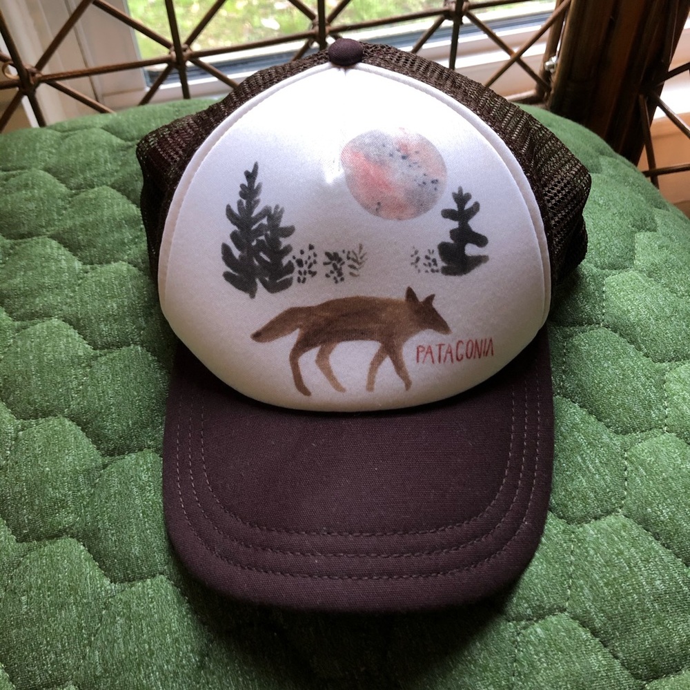 Patagonia Hat